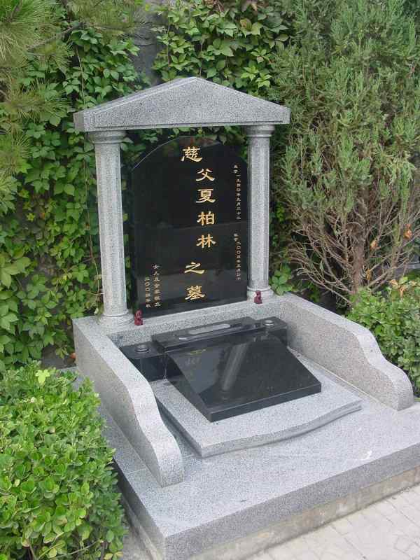 夏柏林照片