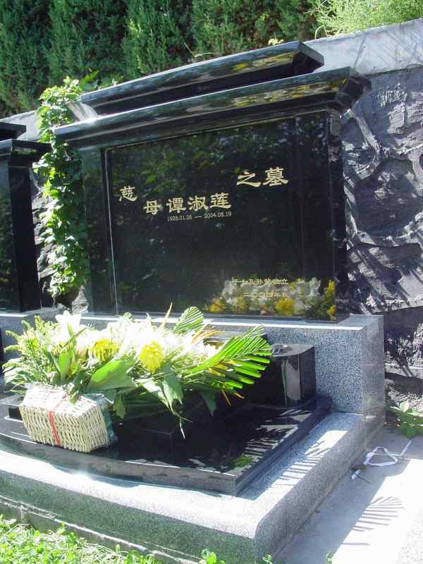 谭淑莲照片