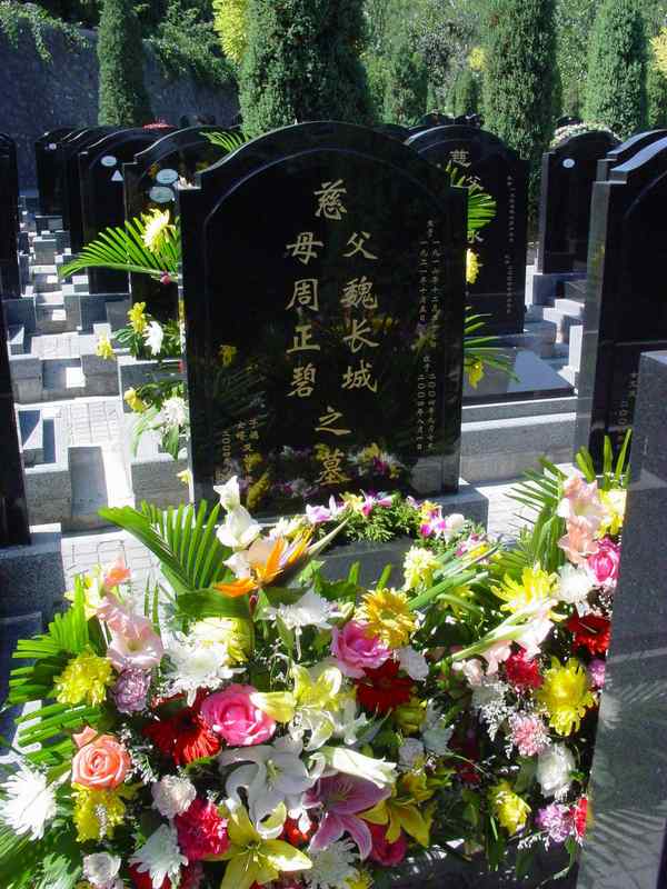 魏长城.周正碧照片