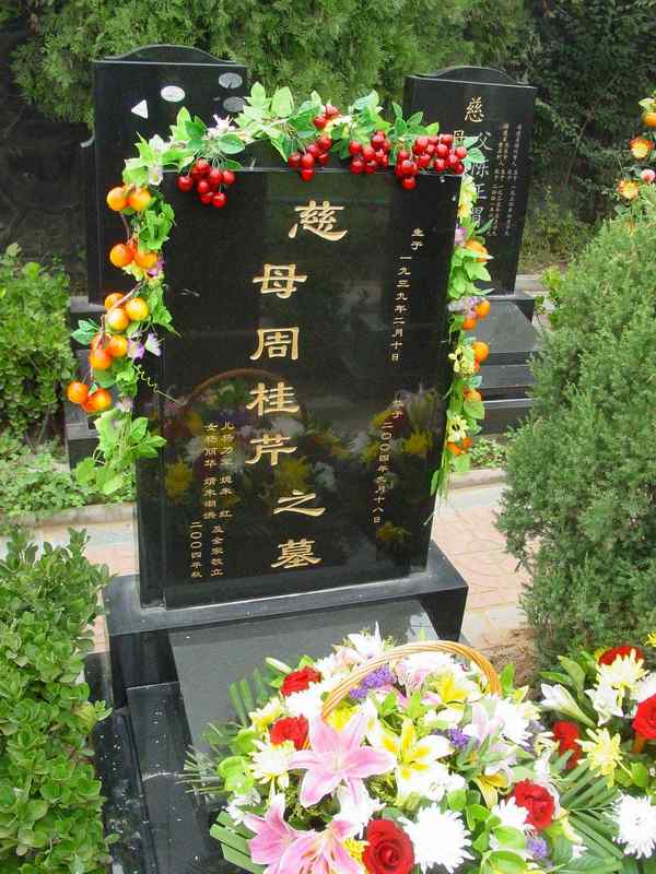 周桂芹照片