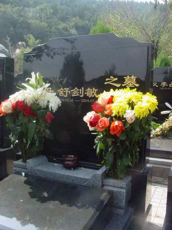 舒健敏照片