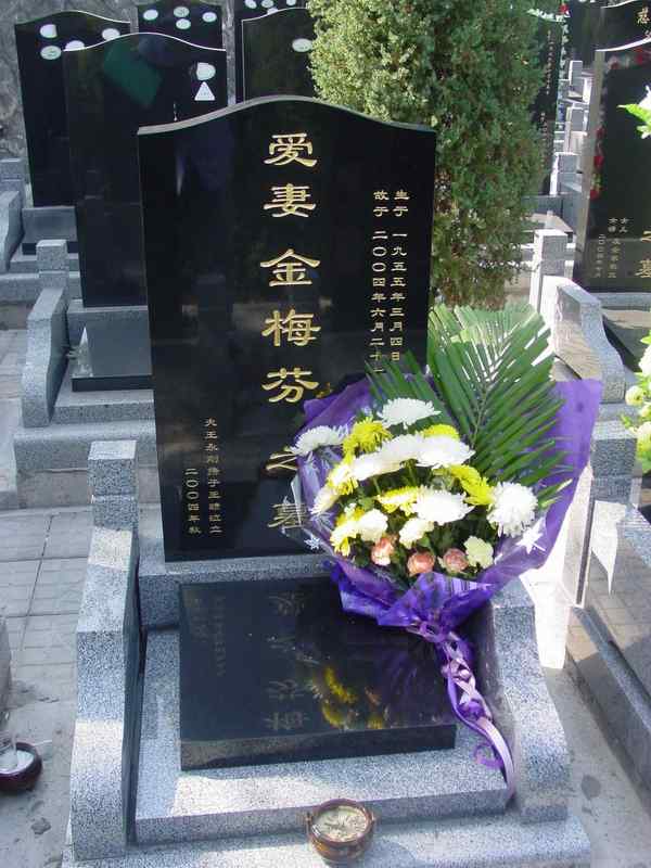 金梅芬照片