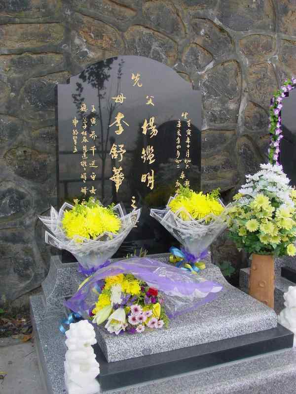 杨鑑明照片
