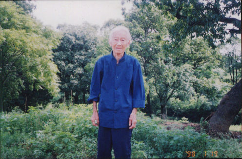 付望莲照片