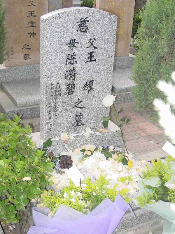 王耀照片