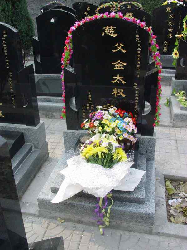 金太权照片