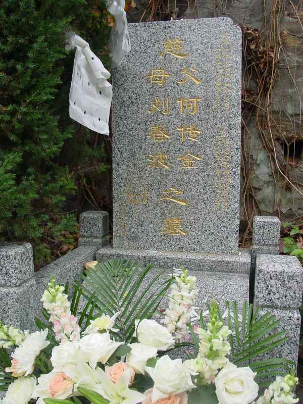 何传金照片