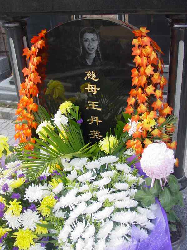 王丹英照片