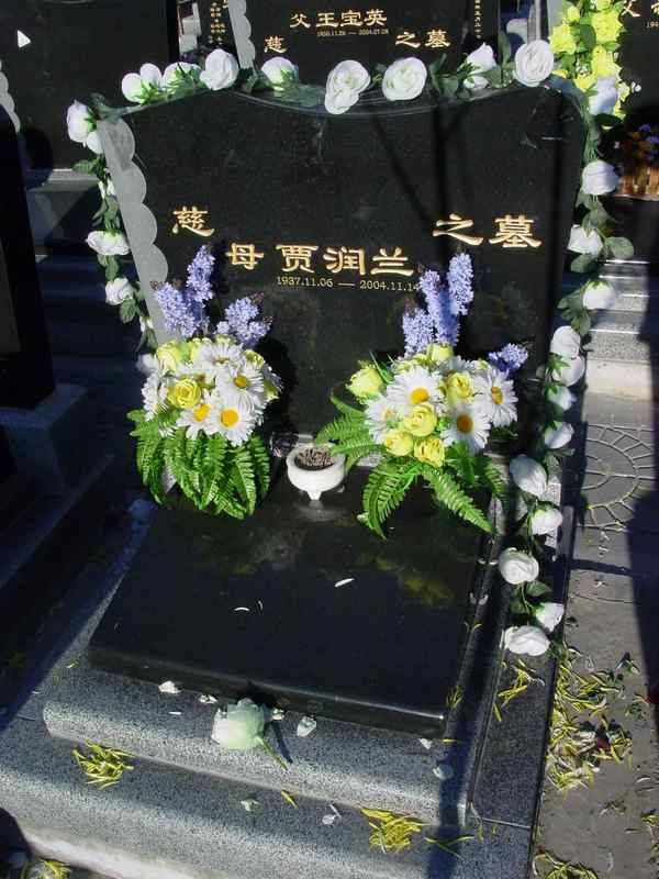 贾润兰照片