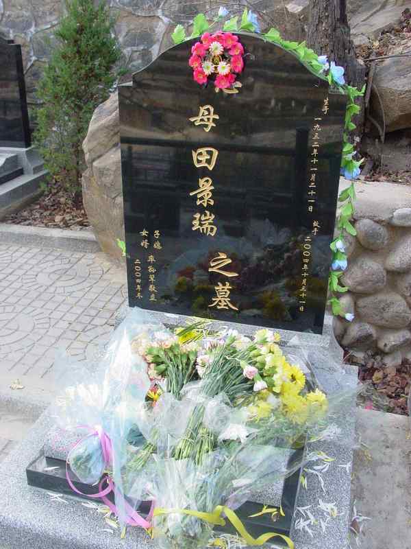 田景瑞照片