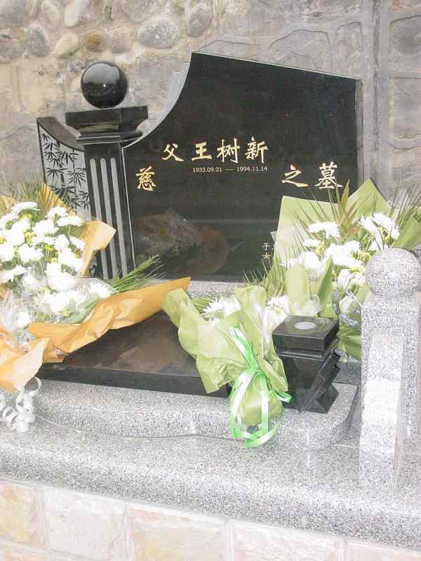 王树新照片