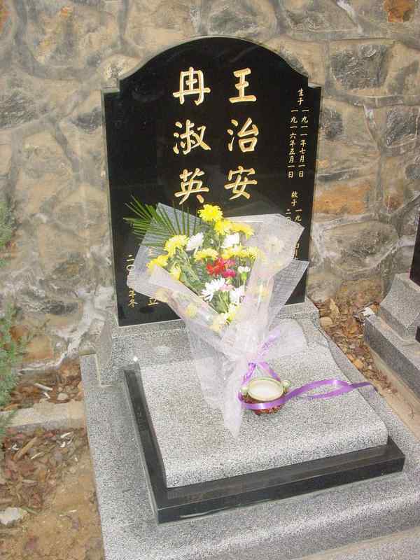 王治安.冉淑英照片