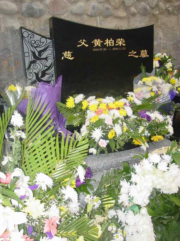 黄柏荣照片