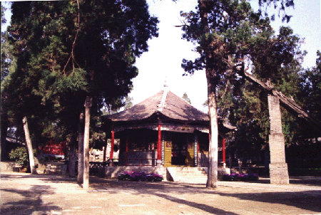 吕铁照片