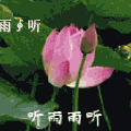 你好照片