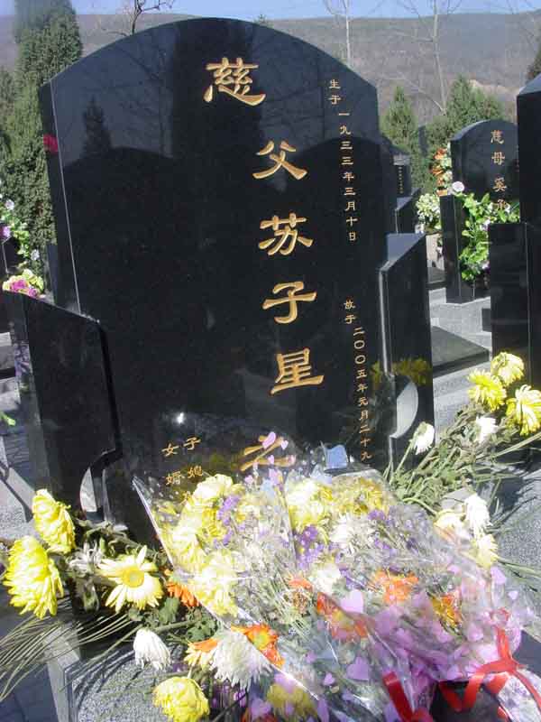 苏子星照片