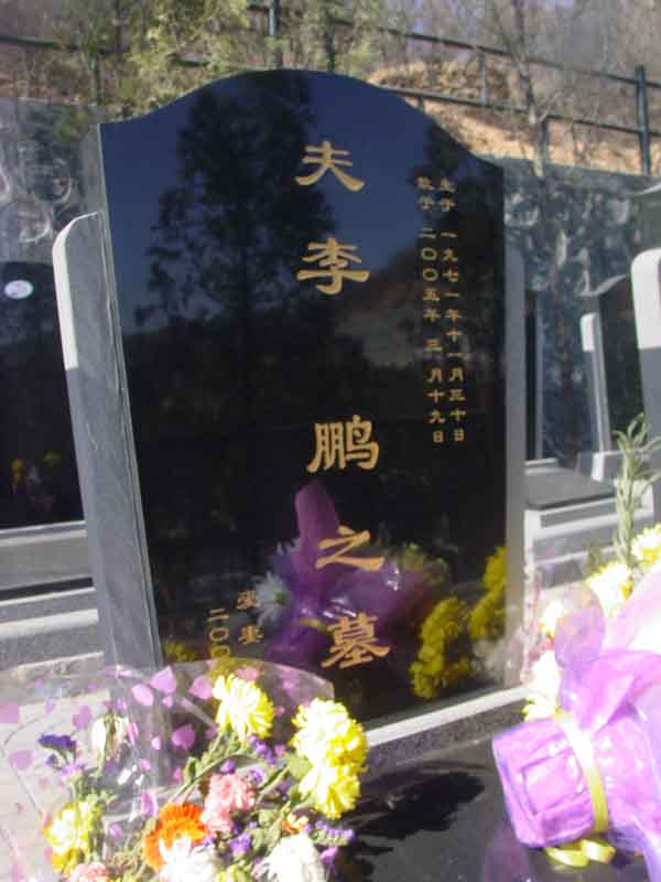 李鹏照片