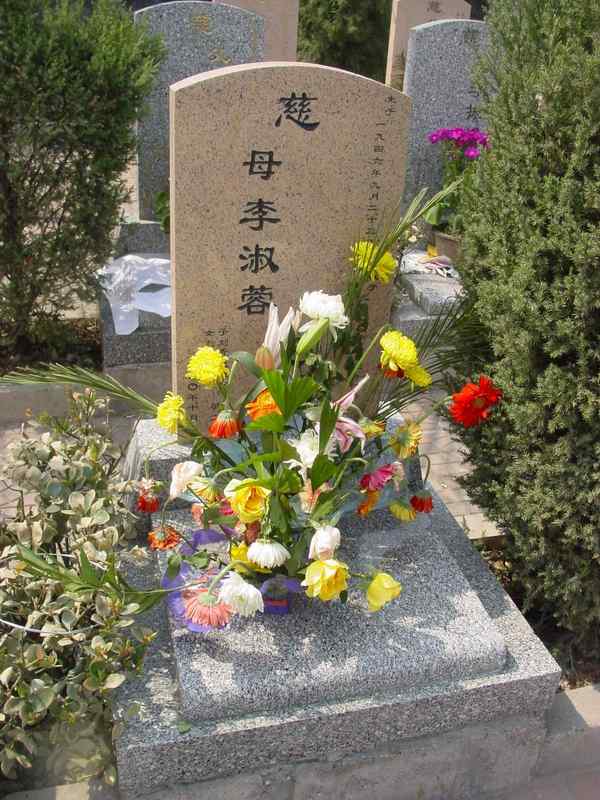 李淑蓉照片