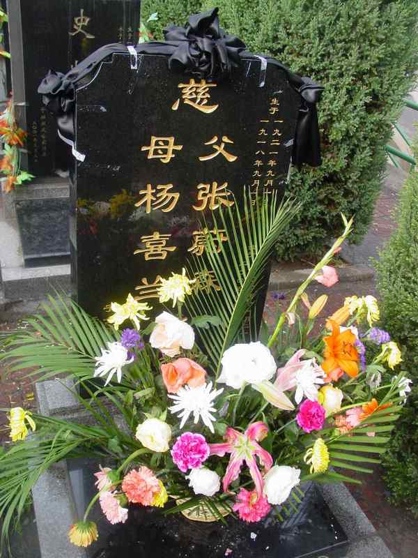 杨喜兰照片