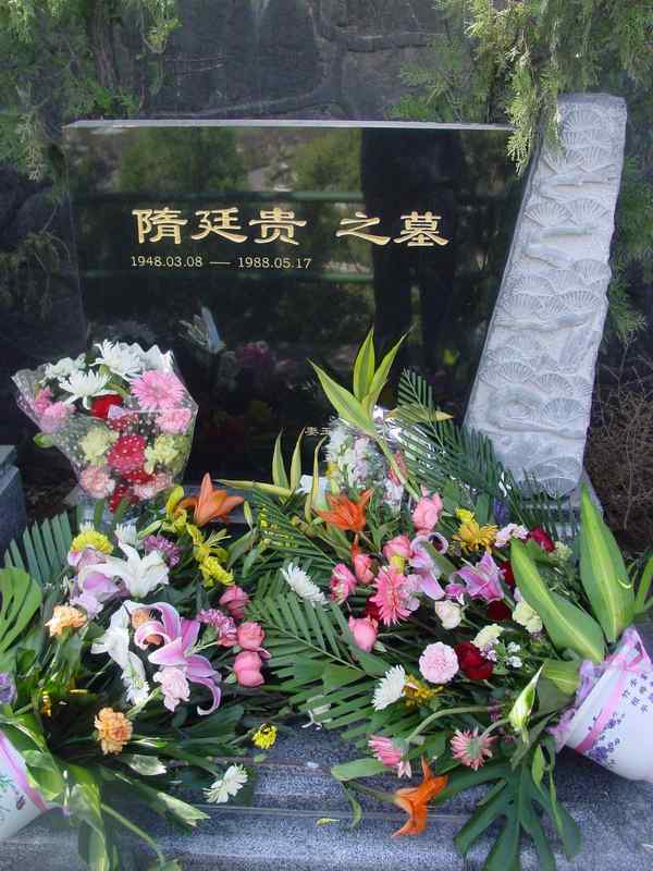 隋延贵照片