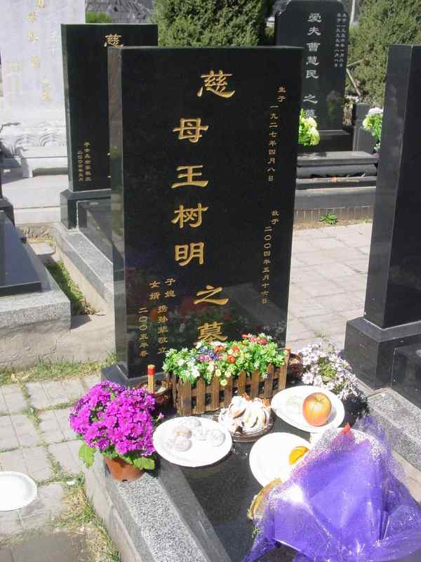 王树明照片