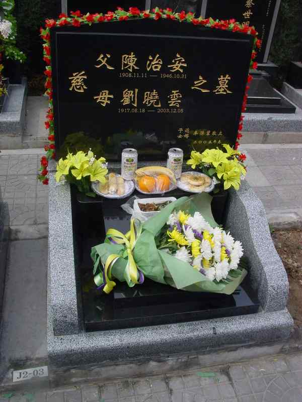 陈治安.刘晓云照片