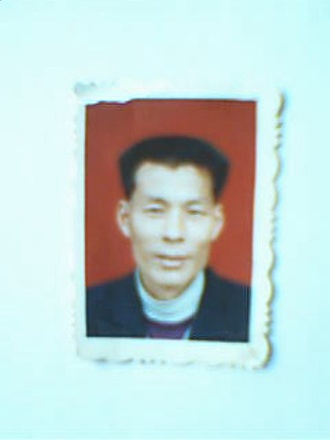 陈书凤照片