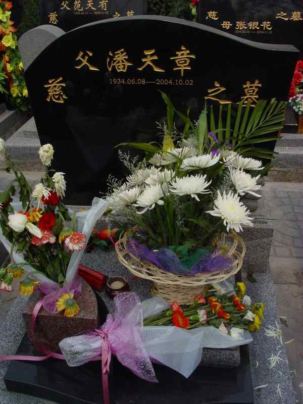 潘天章照片