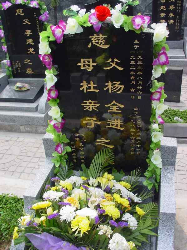 杨全进照片