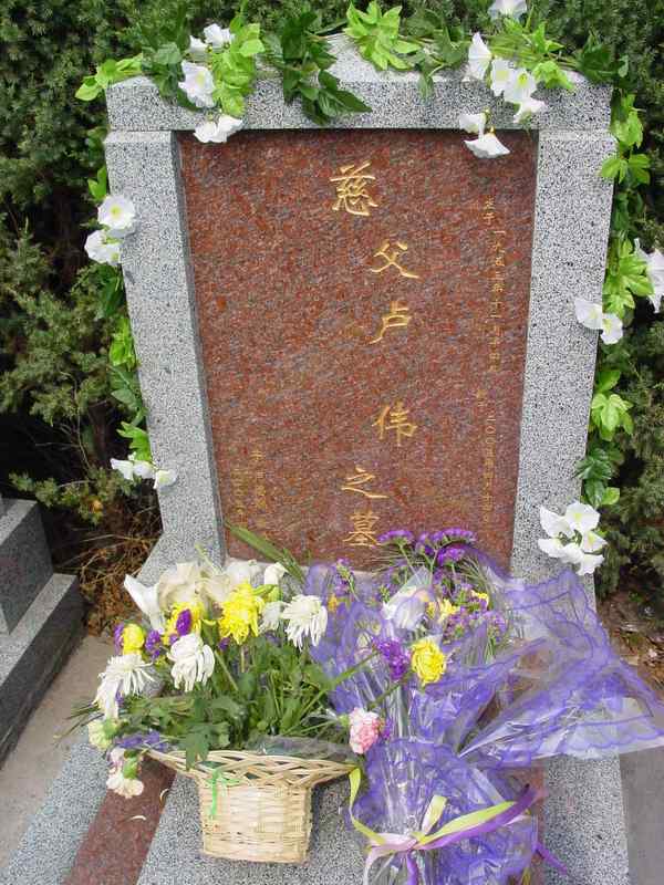 卢伟照片