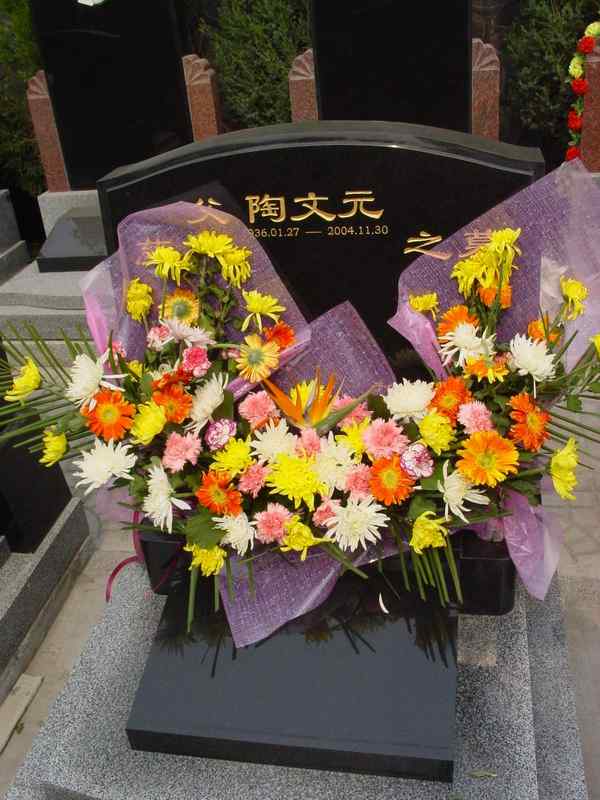 陶文元照片