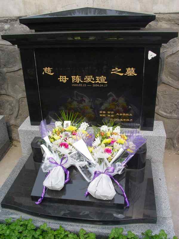 陈爱瑄照片