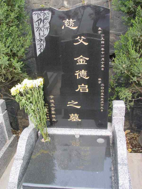 金德启照片
