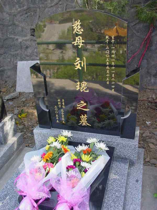 刘琨照片