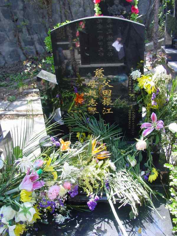 田振江.赵志琴照片