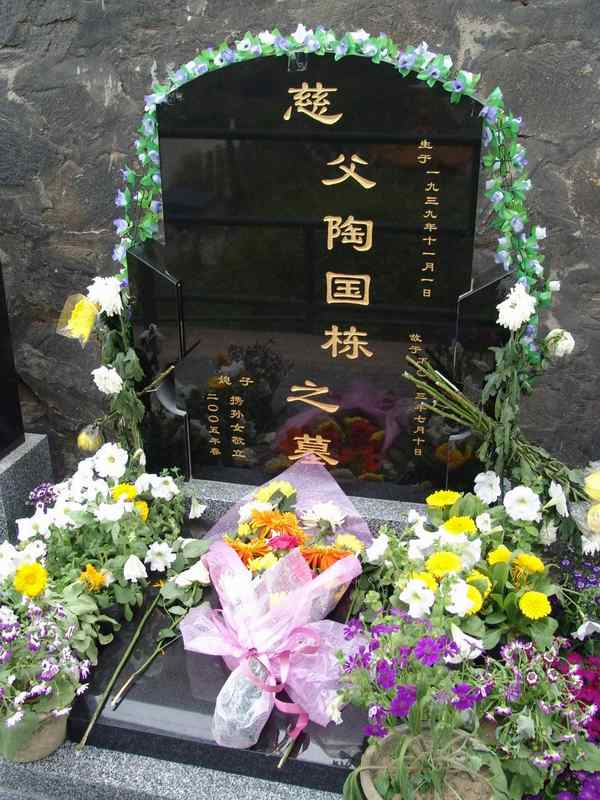 陶国栋照片