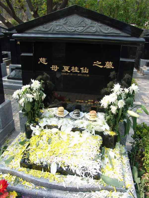 夏桂仙照片