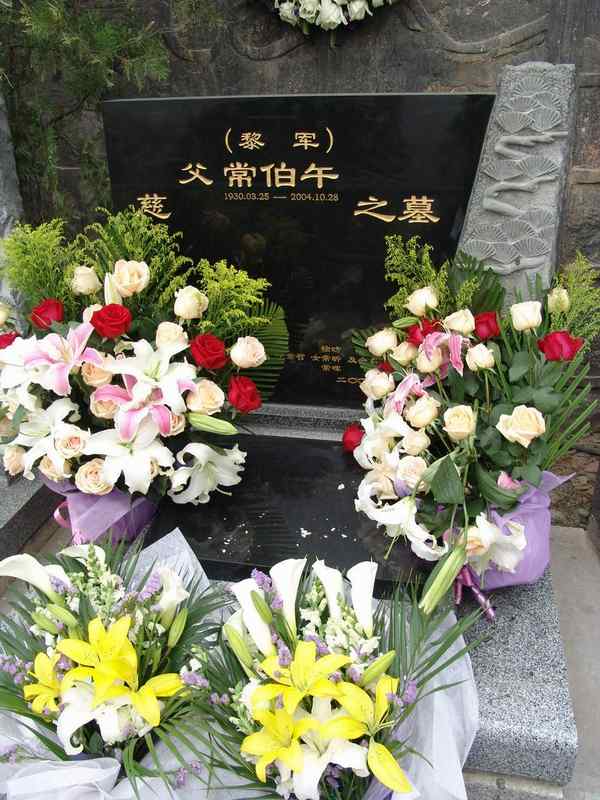 黎军照片