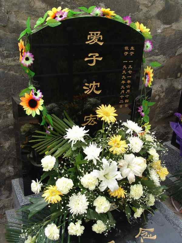 沈宏照片
