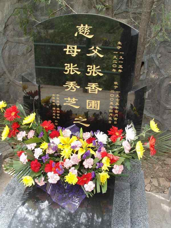 张秀芝照片
