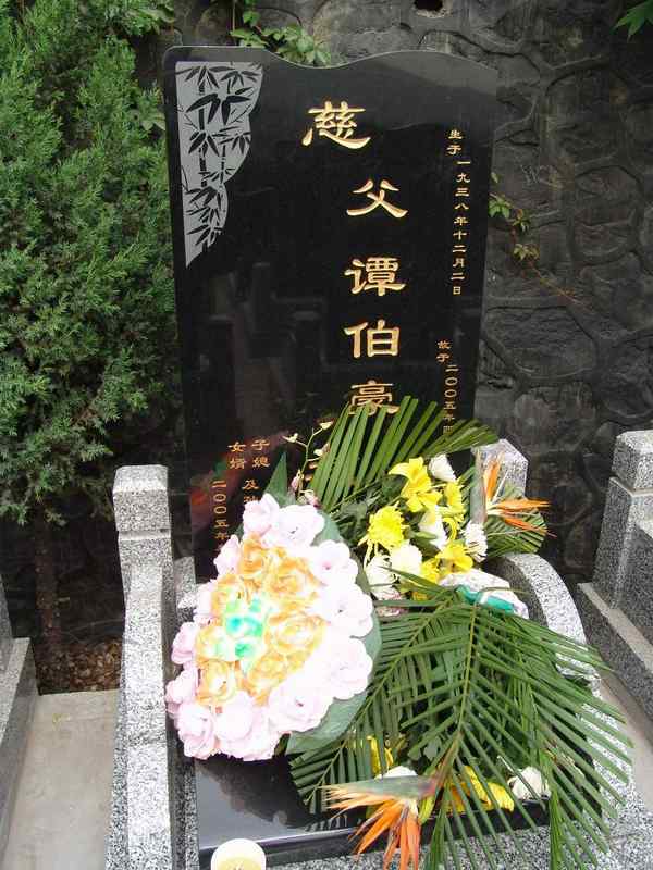 谭伯豪照片