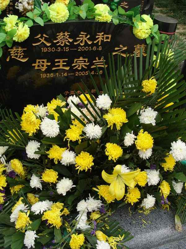 王宗兰照片