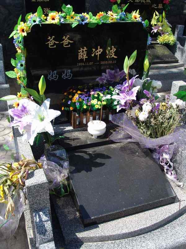 薛冲波照片