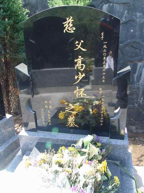 高少怀照片