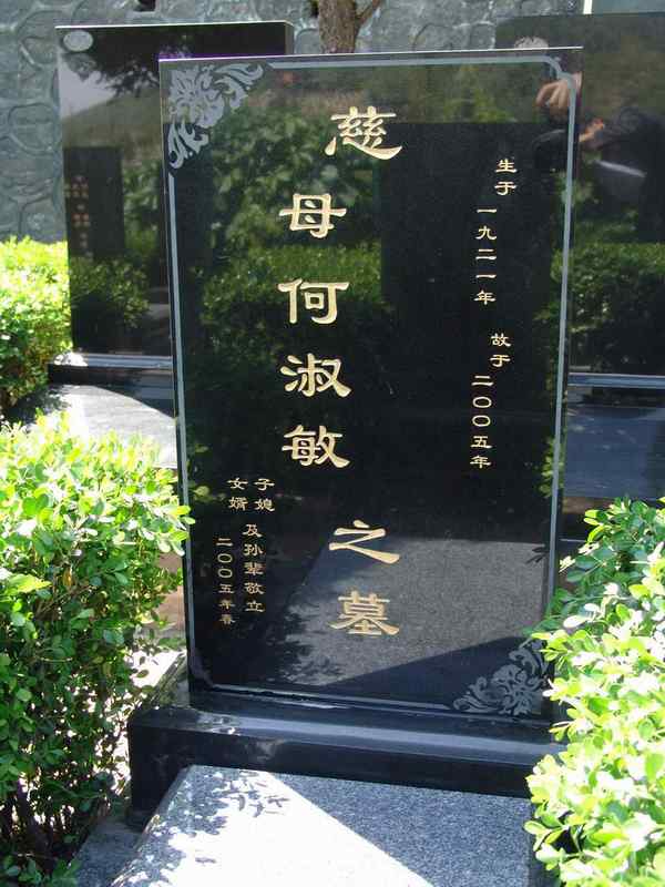 何淑敏照片