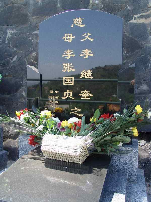 李继奎照片