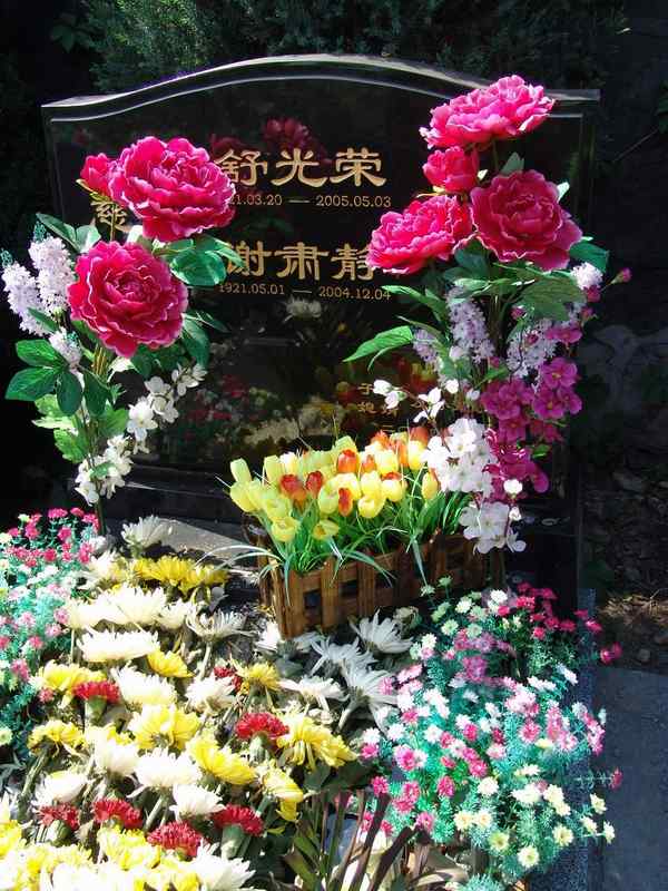 舒光荣照片