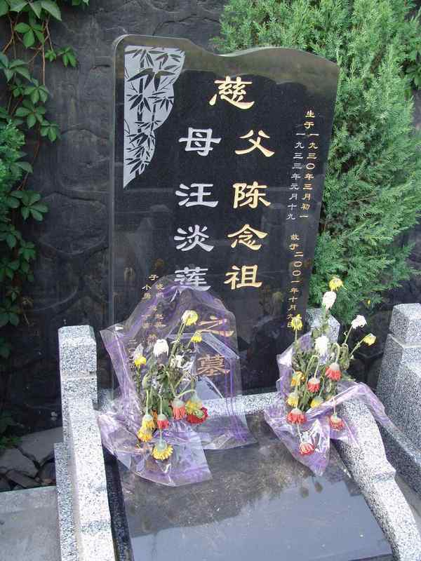 陈念祖照片
