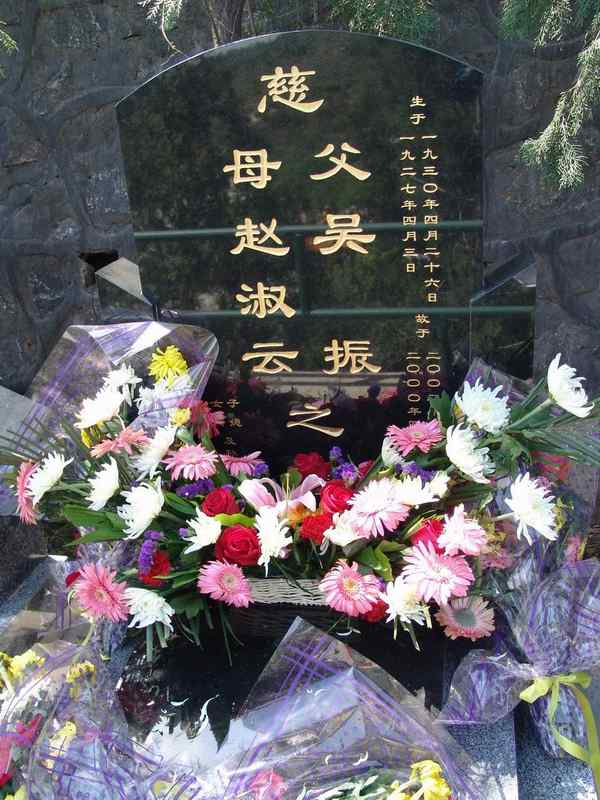 吴振.赵淑云照片