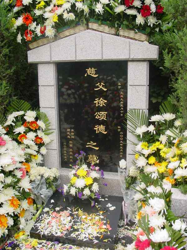 徐颂德照片